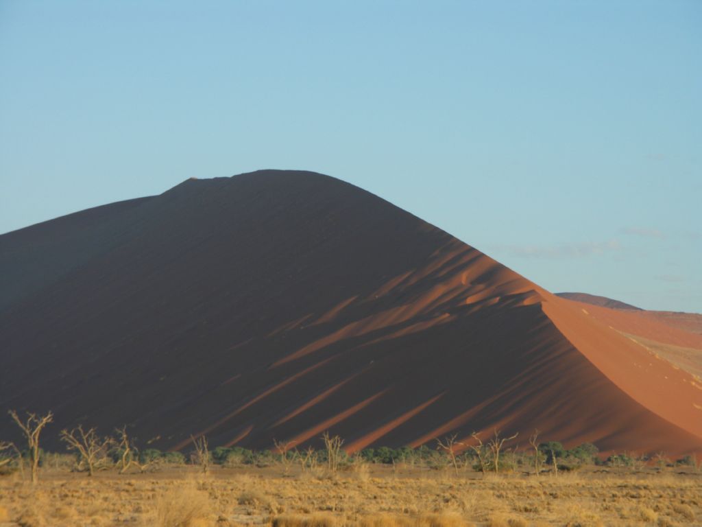 namib desert